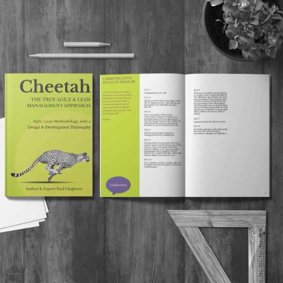 Cheetah Agile, Lean Methodology Author Paul Cleghorn